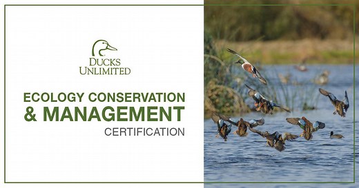 Ducks Unlimited Ecology Conservation & Management Certification | Ducks Unlimited