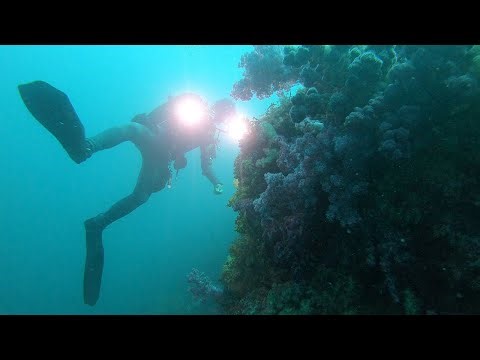 Epic Jeju Island Dives! (4K60)
