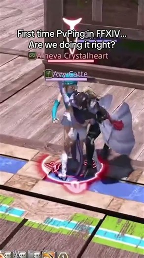 This is how to PvP in FF14 right?