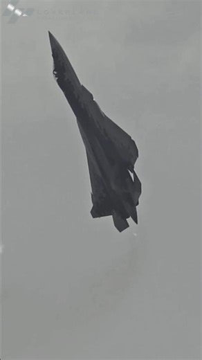 Cobra Stunt Ka Asli King Kaun Tha? #SaabDraken#FighterJet#shorts