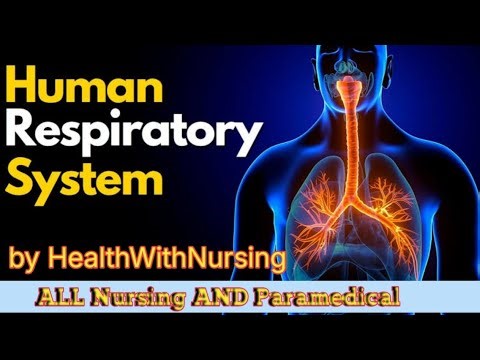 Respiratory system #Respiratory system For All nursing and medical students #anatomy and physiology