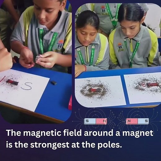 Fun with Magnets: Experiments and Classroom Activities