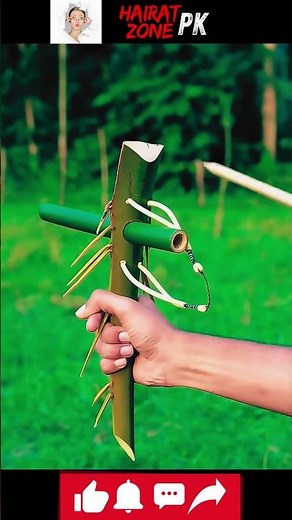 Discover the Greatest Bamboo: The Ultimate Guide to Nature’s Strongest Plant