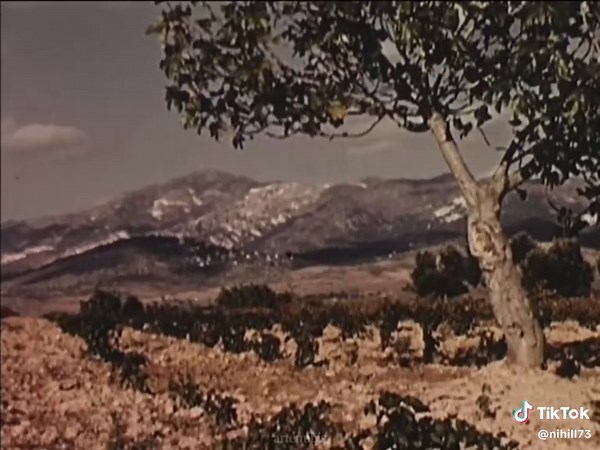 Explore Ancient Greek Culture and Civilization