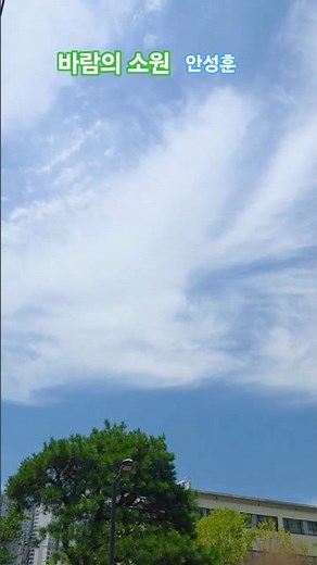보고프면 어떡하나요 ? #바람의소원 #안성훈