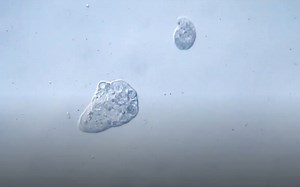 [纳米科技] （搬）7 Amazing Everyday Examples Of Nanotechnology In Action