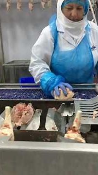 Marel Stork ACM-NT Cut-up & AMF-i Filleting System - FOR SALE #poultryprocessing #poultry #chicken
