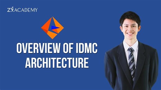 Overview of IDMC Architecture | Zx Academy | Zx Academy