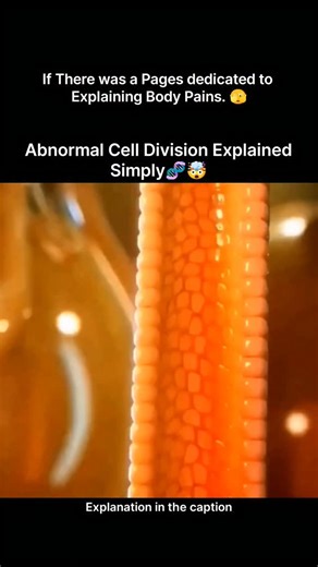 Explaining Biology on Instagram: "Abnormal cell division occurs when the normal process of mitosis loses control, causing cells to divide too fast, too slow, or unevenly. Instead of forming healthy, identical cells, abnormal division can create damaged or mutated cells that don’t function properly. This often happens due to DNA mutations, exposure to radiation, harmful chemicals, viral infections, or errors during chromosome separation. When cell checkpoints fail, the body cannot stop or repair 
