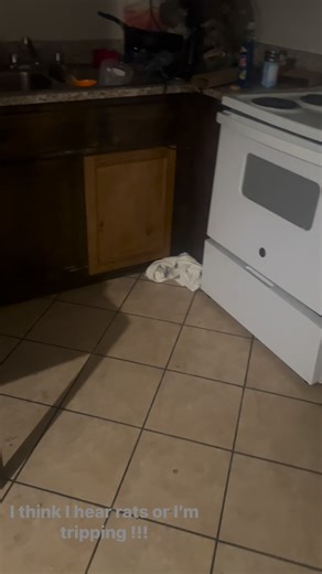 When I first move in my apartment I settle in ina lil bit the first night I see an big ole fat ranned on the corner of the stove and the corner I was scared for my liked it was bigger than any rat I ever seen in my life 😭 that’s why I got my all white dress in the crack so it won’t come out sounds like he tryna eat a hole in my dress to get out of I see that rat come out I’m run out this house 🤦 I’m sleeping one 👁️ open and one eye 👁️ close rat won’t get me tonight….. | Butler D Derrick