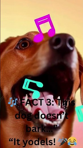 5 Amazing Dog Facts You Didn’t Know!"#shorts