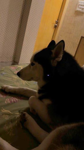 Thank you for reminding me to slow down❤️❤️❤️ | Banku Ghosh