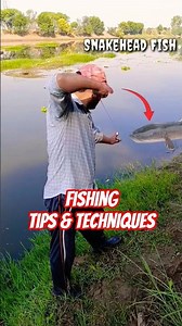 slingshot fishing tips and techniques #shortsfeed #fishing #slingshot