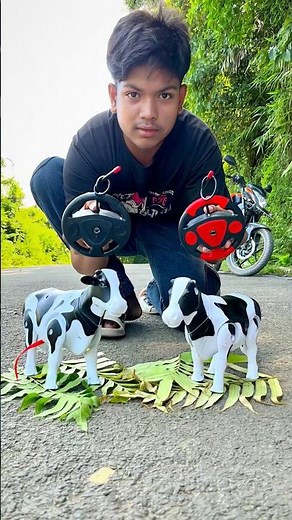 2 Ta Rc Cow Animals Unboxing And Review Testing |🐄