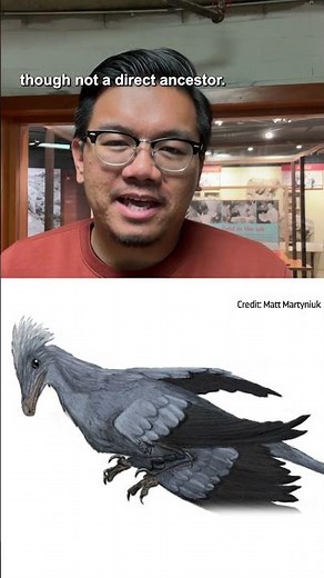 A tiny dinosaur flapped its wings and made these footprints