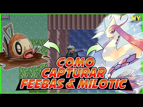 Como capturar Feebas e Milotic no Pokémon Ruby, Sapphire e Emerald