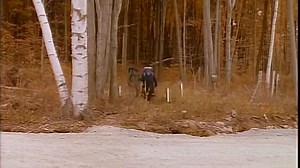 Hostage for a Day (1994) George Wendt & John Candy Welcome to the movies and television