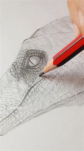 ✨Raptor✨ #skecthbook #pageforyou #bocetos #fyp #sketch #fyp #fy #process #pencildrawing #pencilart #raptor #velociraptor #jurassicpark #jw #drawsketch