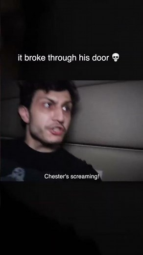 skin Walker caught on camera as a dog