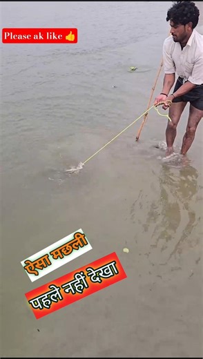 A big monster fish 🐠 cought from river village boy. I village fishing I #fishing #village #shorts 😱