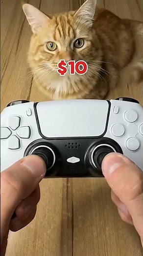 comparison between fake and real ps 5 controller