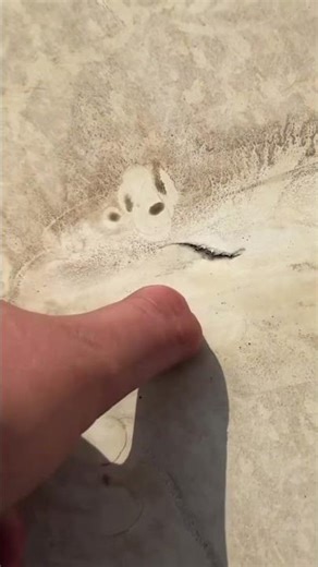 This tiny TPO tear = $20,000 problem waiting to happen.