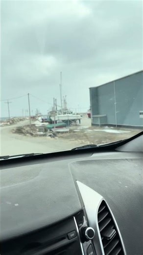 Straight shore, Musgrave Harbour part 3