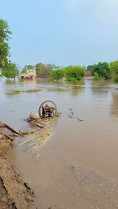 162K views · 242K reactions | Punjab floods 2025 Rescue Mission in Flood-Hit Areas | Evacuating Children, Patients & Elders | Flood Relief Punjab #nasirdhillon #punjabilehr #punjabi #khalsaaid @khalsa_aid | Nasir Dhillon | Facebook