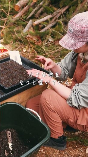 [Episode 93] A couple turns the forest into a secret base - planting seeds - #countrylife #slowli...