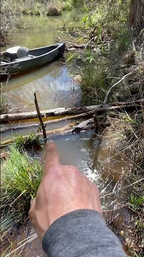 Beaver trapping 330 tip