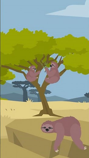 Sleepy Sloth Song | Calming Bedtime Song for Kids