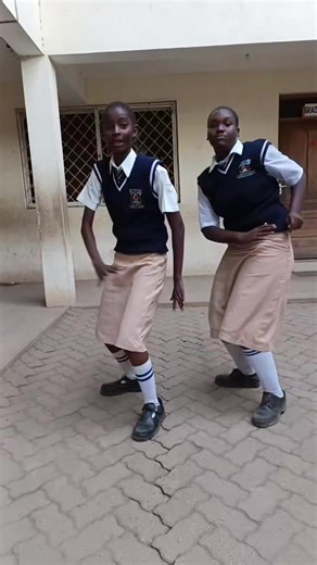 The Essence of Fun: What Makes Us Enjoy Life