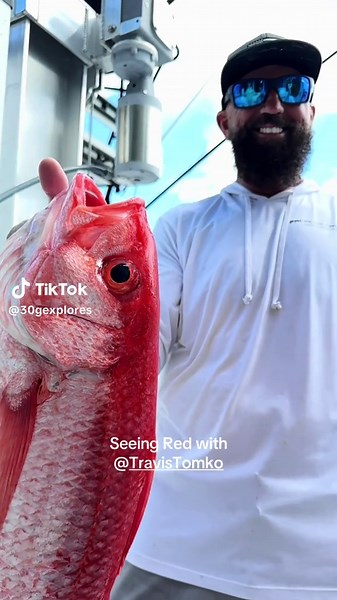 Seeing Red: Embracing the Color of Passion