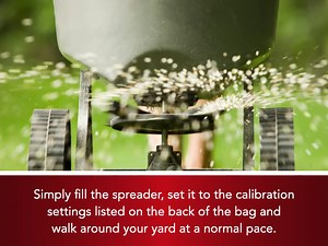 Eliminator Ant, Flea & Tick Killer Plus Lawn Insect Granules Pesticide, 10lb