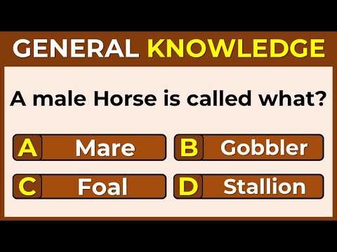 How Smart Are You? | Take This 25-Question Quiz To Find Out | GK