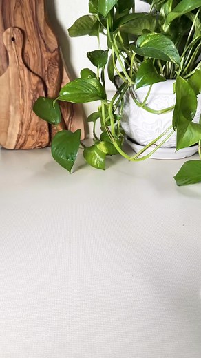 32K views · 393 reactions | Yummy jar salads. Dressing recipe is on my Insta 﫶 #canning #furniture #sundaydinner #lighting #sundaybrunch #foodpreservation #diyproject | Sharonda Galdamez | Facebook