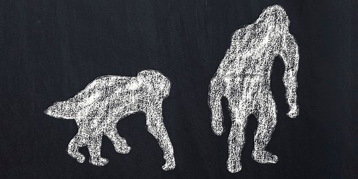 A Human Family Still Walks on All Fours, Suggesting Backwards Evolution