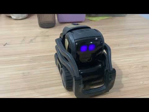 Vector robot providing recommendations after integration with Anthropic Claude