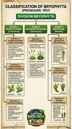 Bryophyta Classification | Proskauer 1957 I B.Sc. Botany