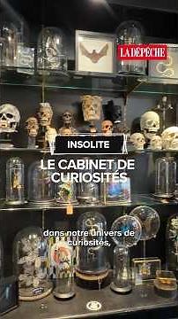 Discover this cabinet of curiosities in Toulouse