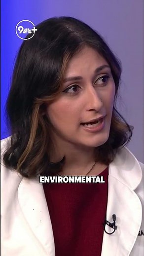 How to stop your dog from licking their paws