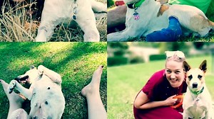 Good Things Guy weekly catch up... here's this week's top stories (in a bite size video)! ❤️🇿🇦 | Good Things Guy