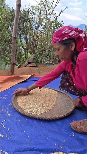 old process to clean wheat still alive at our village .