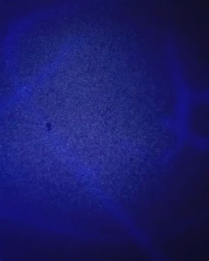 The USMS badge, along with everything it represents, carries profound significance. #USMarshals | United States Marshals Service