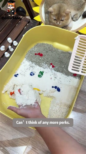 BOKAMAO Mixed Cat Litter | Ultra-Fast Absorption & Tight Clumps for Wholesale
