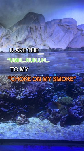 Bakudeku Edits in My Hero Academia