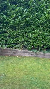 Halifax riders: your first ride is FREE. Apply code WELCOME10 for up to $10 off. | Uride