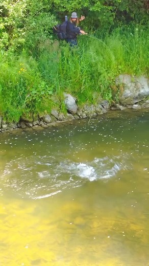 Fly Life Media- fly fishing community on Instagram: "Bow and Arrow Cast - Dragon Fly For Big Fish.  @flyfishing.guiding.slovakia #flyfishing #dryflyfishing #sightfishing #fishing #backcountryflyfishing #bigfish #bowandarrowcast #spectacularcatch"