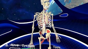 Human Anatomy VR has arrived to PS4 on August 27th, 2019! The very first human anatomy educational VR app that helps to learn every body structure to the last detail in a fun and memorable way. | Video Game Depot | Facebook