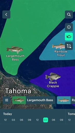 Smart anglers use smart tools. Track weather, perfect your timing, and make every trip unforgettable with our app! | Windy.app